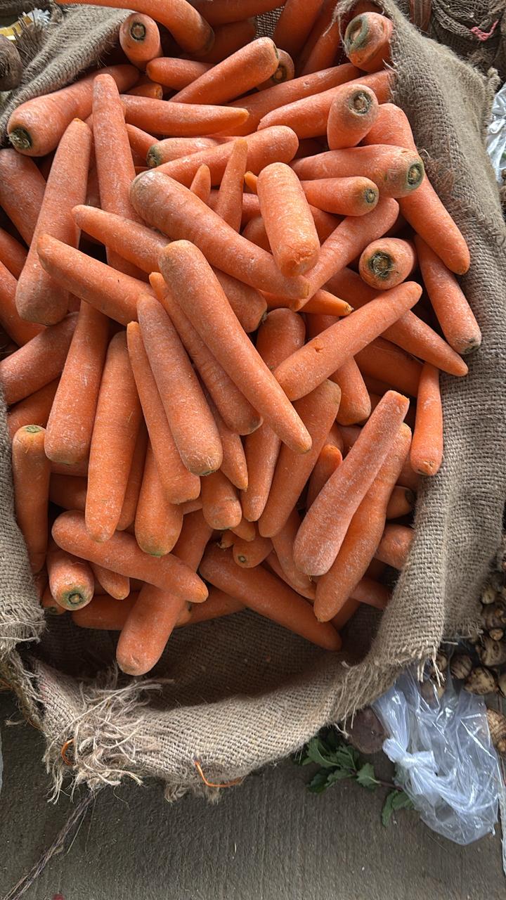 Carrot-Orange